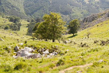 Fototapeta na wymiar Beautiful landscape of slopes and mountains covered with green trees in Urkiola Natural Park, Basque Country, Spain