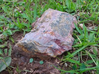 Rock in garden, pedra no jardim