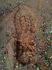 footprint, pegada