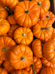 colorful Fall autumn display in a grocery store orange pumpkins