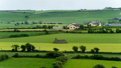Picturesque countryside of southern Ireland on a spring day. Green farm fields, landscape....