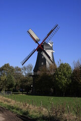 Obraz premium Am Deich, Aschwarden, Niedersachsen, Deutschland, Europa 
