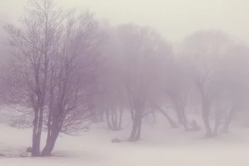 Kissenbezug Fog in the forest © Galyna Andrushko