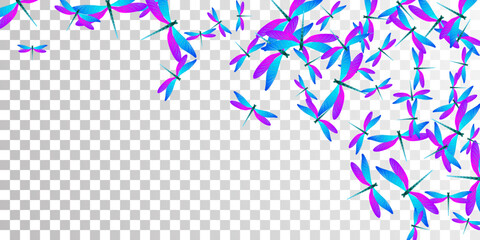 Exotic blue purple dragonfly flat vector background. Summer cute insects. Detailed dragonfly flat dreamy illustration. Sensitive wings damselflies patten. Tropical beings