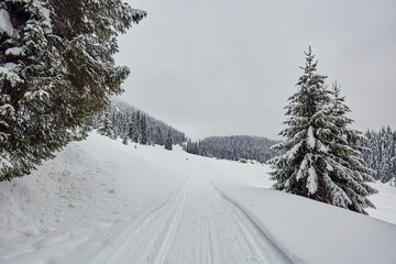 Winter landscape with empty road covered in snow