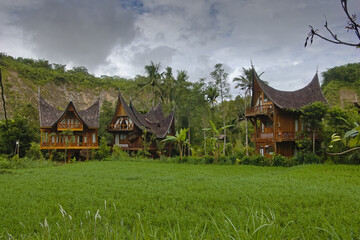 Traditional Minangkabau Houses behind rice field, Bukittinggi, West Sumatra, Indonesia