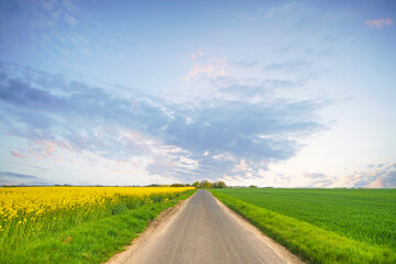Summer landscape with a road