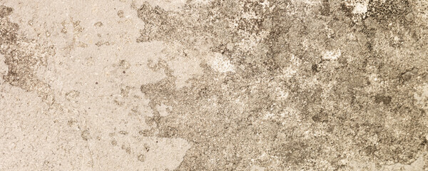Concrete wall background. Abstract cement texture. Banner