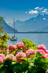Flowers on the banks of Lake Geneva, Switzerland.
