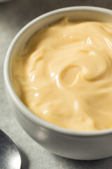 Homemade Organic Asian Japanese Mayo