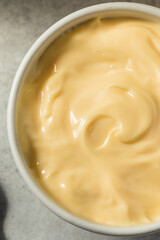 Homemade Organic Asian Japanese Mayo