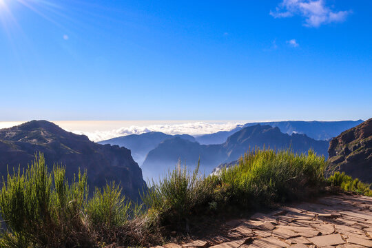 Madeira the island of flowers a part of Portugal