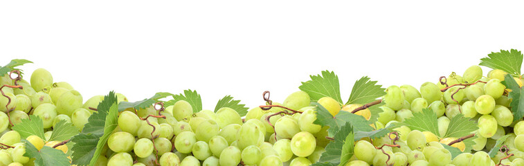 Grape fruit isolated