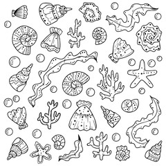 Set of seashells scallops algae and coral. Vector illustration. Pattern. Bubbles.