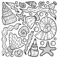 Set of seashells scallops algae and coral. Vector illustration. Pattern. Bubbles.