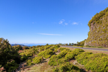 Madeira the island of flowers a part of Portugal