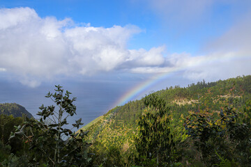 Madeira the island of flowers a part of Portugal