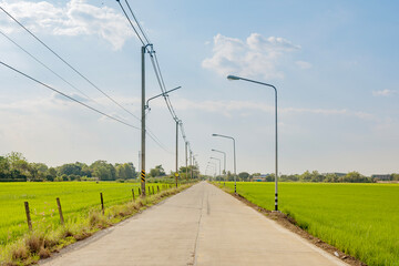 Fototapeta na wymiar Concrete road in rural Thailand through green fields