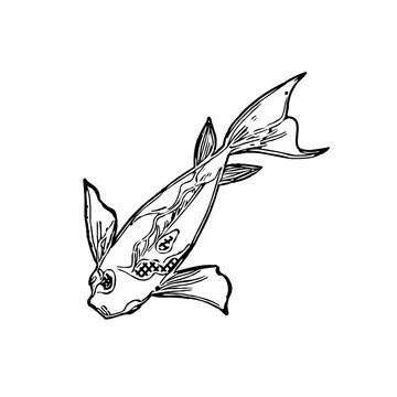 black and white drawing sketch of a koi fish with transparent background