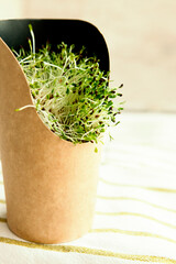 Cardboard cup with microgreen sprouts, left, horizontally on a light cloth, with a place for text,...