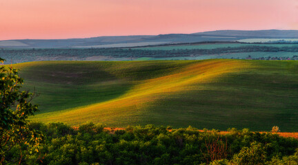 green Rolling Hills countryside rural scenery beautiful springtime landscape sunset Moldova Europe Amazing Agricultural wheat  fields, meadow and lonely tree farm forest summer Tuscany foothills