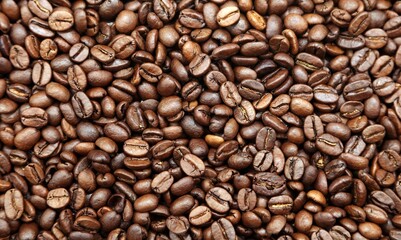 Roasted coffee beans