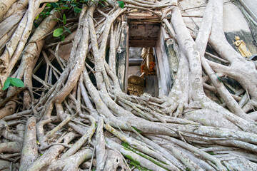 THAILAND AMPHAWA WAT BANG KUNG