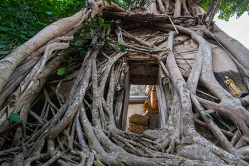 THAILAND AMPHAWA WAT BANG KUNG