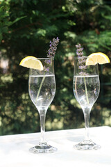 Glass of clear, sparkling water with lemon in hand.