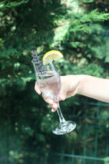 Glass of clear, sparkling water with lemon in hand.