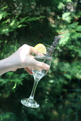 Glass of clear, sparkling water with lemon in hand.