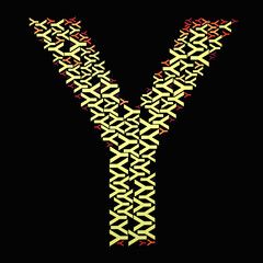 Illustration of letter Y