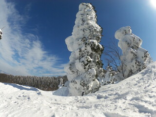 日本の風景、自然が創り出す冬の景色