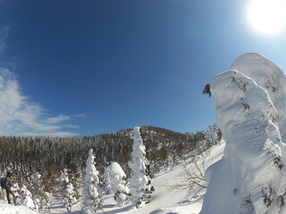 日本の風景、自然が創り出す冬の景色