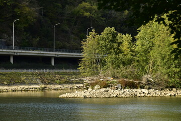 L'une des iles sauvages au milieu de la Meuse au niveau très bas en face d'une autoroute à Lustin au sud de Namur