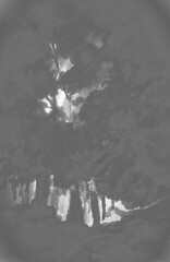 Grayscale - Black & White Deciduous Forest Digital Illustration/Art Background, backdrop, or wallpaper