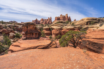 hiking the chesler park loop trail in the needles in canyonlands national park, usa