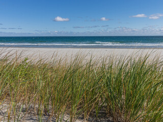 beach and grass
