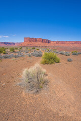 hiking the murphy trail loop in the island in the sky in canyonlands national park, usa