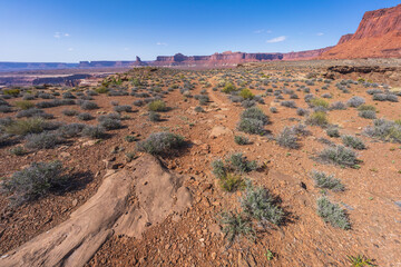 hiking the murphy trail loop in the island in the sky in canyonlands national park, usa