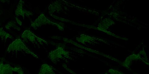 Vintage Texture. Vivid Snake. Neon Tarot Queen.