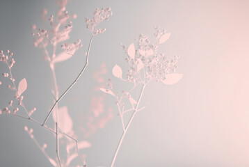 background,background with flowers,minimalist flowers and background