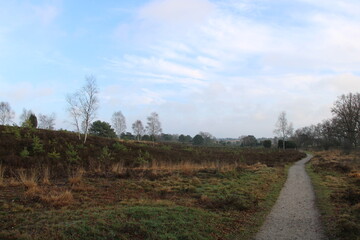 Obraz premium Hiking paths in the Lüneburg Heath