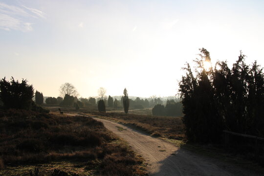 Hiking paths in the L&uuml;neburg Heath