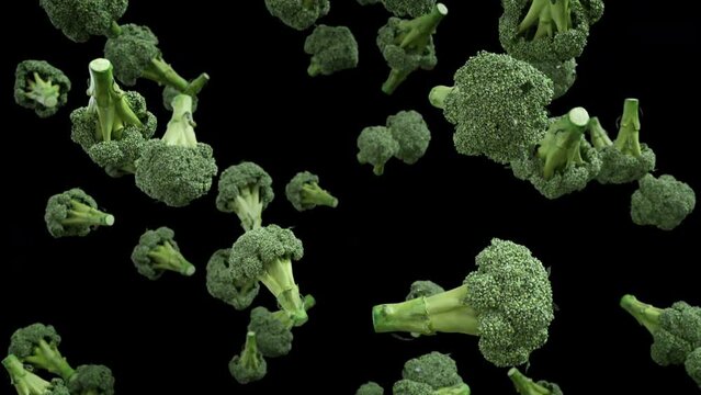 Broccoli falling down on dark background. Group of spinning green broccoli fall down in slow motion.