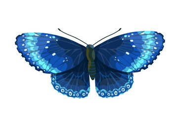 Colorful butterfly, winged insect.Vector graphics.