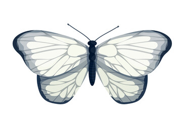 Colorful butterfly, winged insect.Vector graphics.