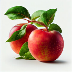 red apple with leaves