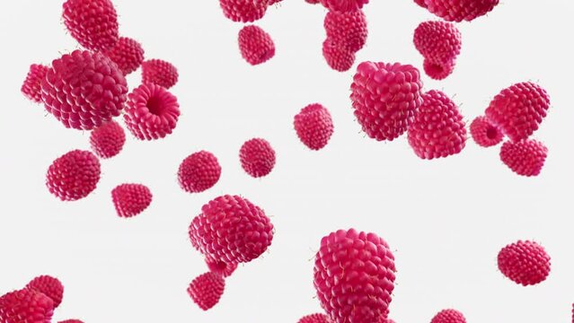 Raspberries falling down on white background. Group of spinning raspberries fall down in slow motion.