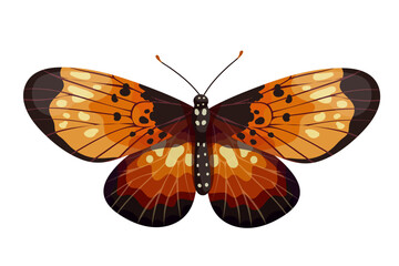 Colorful butterfly, winged insect.Vector graphics.